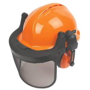 S25CCF Forestry Helmet Combination